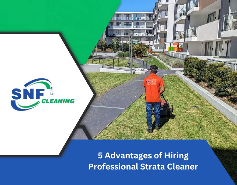 SNF Cleaning's blog